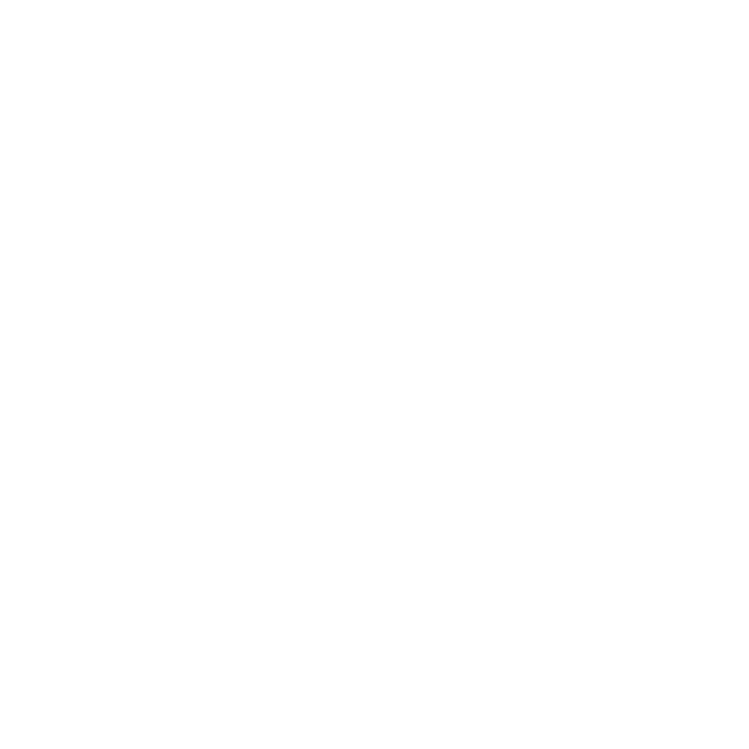 ADHD GO compass logo